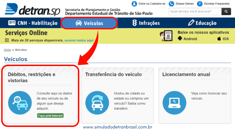 Detran SP - Consulta 1º