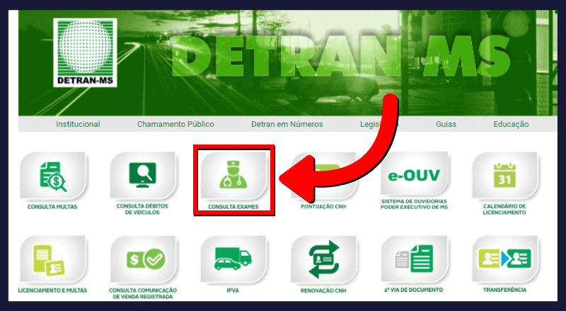 1 Passo Consuta de Pontos Detran MS