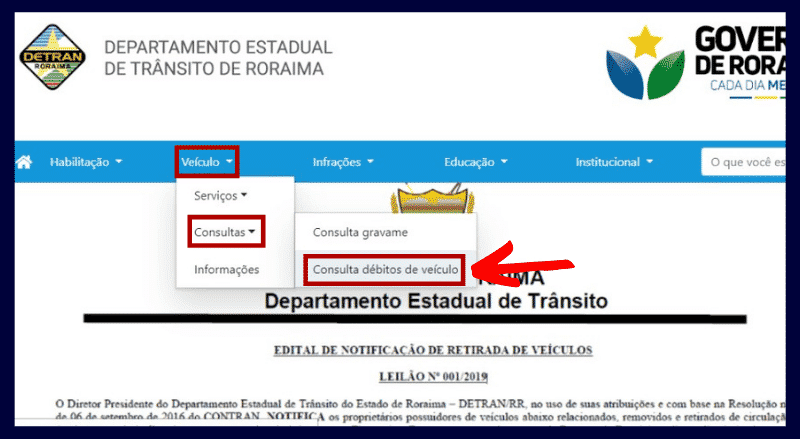 Consulta Multas Roraima